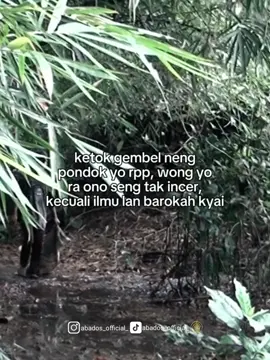 malah ketok opo enek e og😂. #santri #santriputra #santrihits #santrikeren #santrisalafi #santrindalem #santrinu #santripondok #santripondokpesantren #santripondokpesantrenapissanangondang #santriblitar #santrijawa #santrijawatimur #santrinusantara #santriindonesia #pondok #pondokpesantren #pondoksalaf #ppapis #ppapissanangondang #fyp #fypage #fypp #fyppppppppppppppppppppppp 