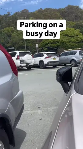 Parking on the beach....