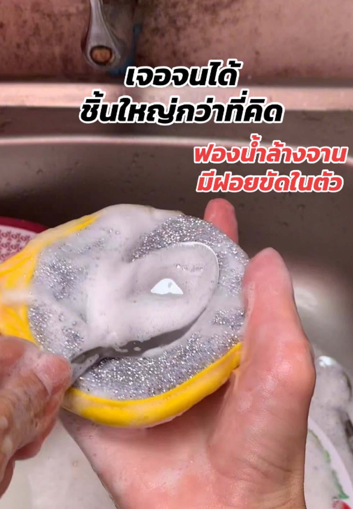 จบในชิ้นเดียว ล้างถ้วยจานไวขึ้น #ฟองน้ํา #ฟองน้ําล้างจาน #ของใช้ในบ้าน 