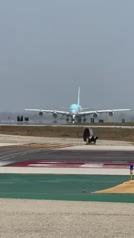 #losangeles #airlinesviews #flightattendants #airways #takeoff #aircrews #airlines 