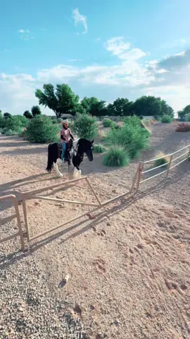 #fyp #foryou #horsesoftiktok #friesiancross #gypsycross #horsetraining #horsetrainer 