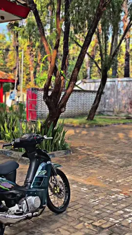 motor ngarit🗿 #2stroke #tornadogs110 #suzuki #jetcooled #fyp #rcseries #twostroke 