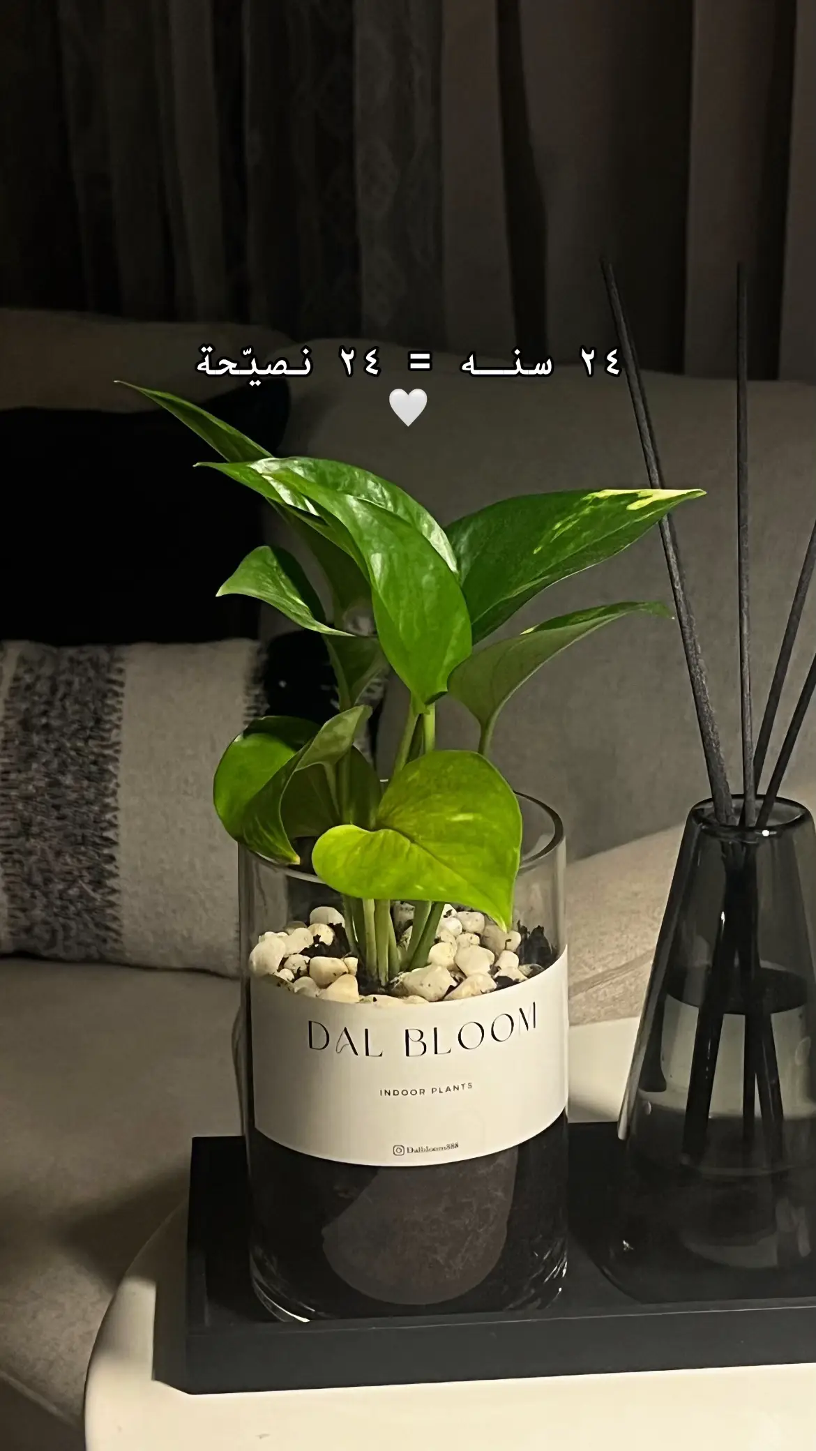 #اكسبلور #explore #foryou #4u 