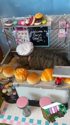 Happy Saturday!  #Saturday #ChefGary #ChefCat #Cat #Biscuit #Biscuit #CatMakingBiscuits ##elpanaderoconelpan##pan