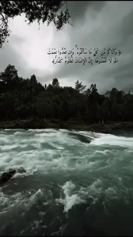 #صدقه_جارية #قرآنquran #القارئ_المنشاوي #تلاوة_خاشعة #quranrecitation #ارح_سمعك_بالقران #anime #قرآن 