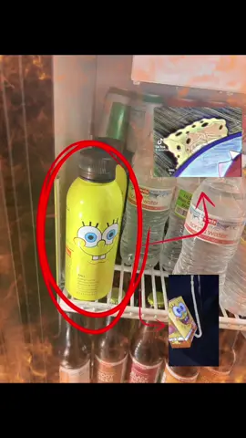 I love SpongeBob❤️
