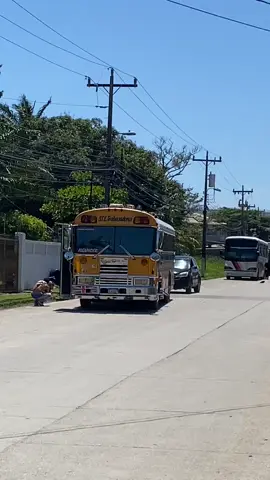 La Alexandra 😈🔥 @BUSOLOGOS SAMPEDRANOS 📸🚍 @Alexander Garcia  #buseroshastalamuerte🔰 #videoviral #videovirall #by_amaya 
