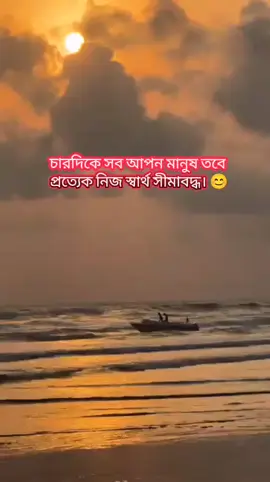 #চারদিকে সব আপন মানুষ, তবে প্রত্যেক নিজ স্বার্থ সীমাবদ্ধ। 😊#everyone #foryou #tiktokbangaldesh🇧🇩 