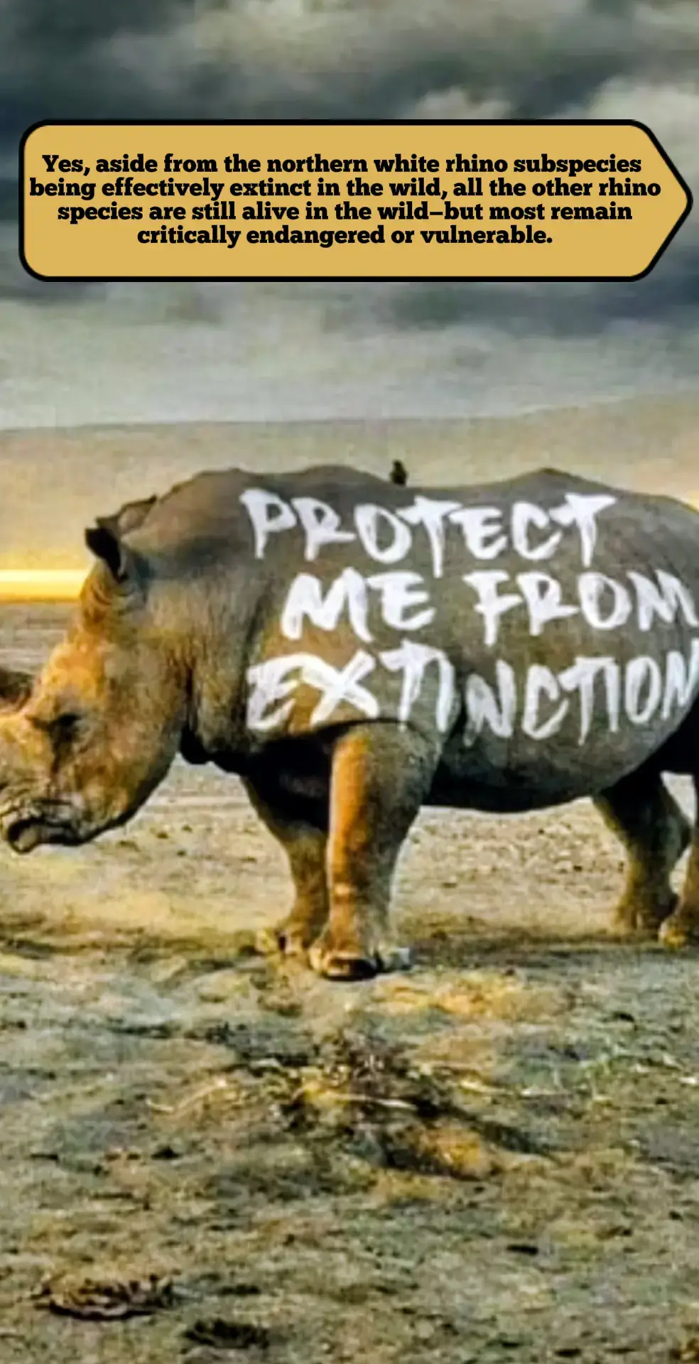 #rhino save them 