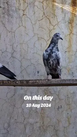 #onthisday