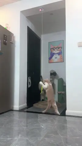 **🐾🎾 Elevate Playtime with the Auto-Bouncing Cat Yo-Yo!**  Watch your feline go wild for this **Electric Cat Toy** – it dances, dips, and *never* gets tired!  ✨ **Why Cats Obsess Over It:**  ✔️ **1.8M of Bouncy Fun** – Random升降 patterns trigger every hunting instinct  ✔️ **Easy 1-Second Setup** – Stick it anywhere, anytime  ✔️ **Pink & Blue Options** – Because even predators deserve style  #MustHaveCatToy #HappyZoomies #PetTech  💬 **Comment “BOING” to see the action!**  👇 **Swipe to watch the acrobatics!**  **P.S.** That *”Must... catch... the sky worm!”* face? **Priceless.** 😼💫  —  **🛒 LINK IN BIO – Batteries included!**  *(Warning: May cause 3AM “jungle expedition” noises.)* 🌙🌿
