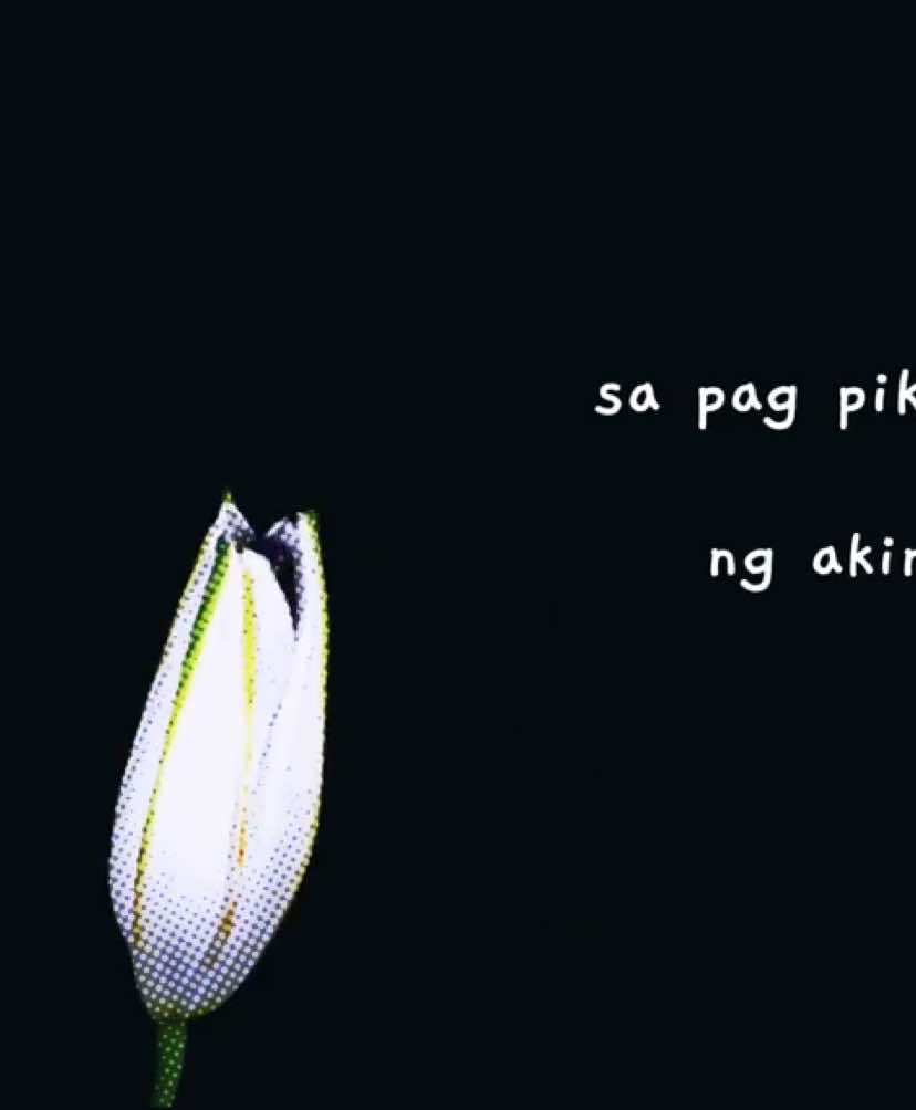 #fyp #foryou #4u #music #lyrics #zxycba 