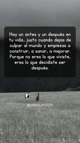 #10deagosto #frasesconvideos #videosdiarios #fyp #domingo 