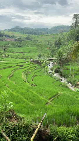#kawihsunda #masukberanda #pepelingsunda 