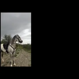 #charritonegro #paratiii #viral_video #fypシ゚ #mesigesporfavorrrrrr❤️🥺 #meapoyas✨plis #dale❤️ 