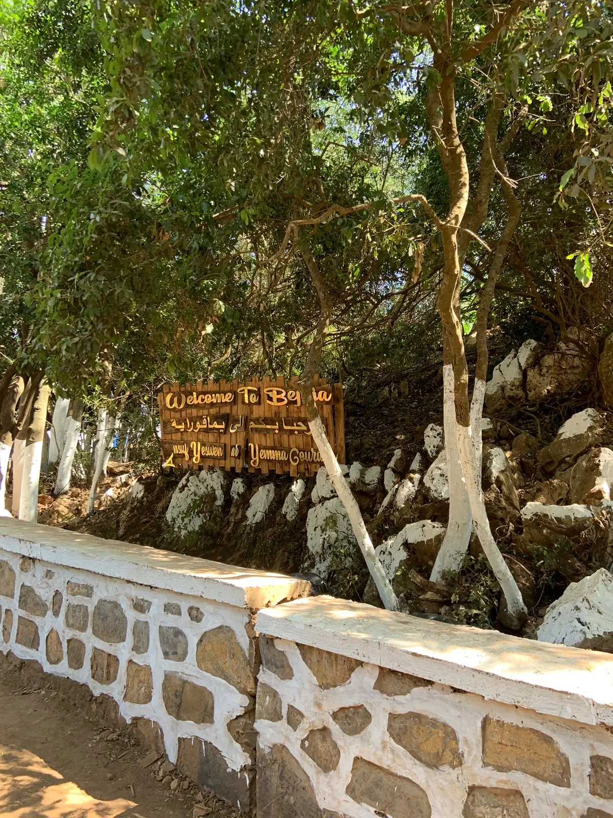 #tik_tok #عشوائيات #béjaïa 