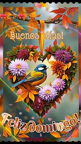#felizdomingo  #felizdomingoparatodos  #buenosdiasmundo  #buenosdias  #parati  #domingo 