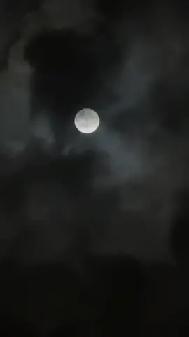 #اكسبلور 