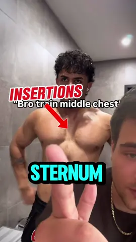 Chest Genetics 🧬 Follow on IG for more content like this 📷professorpumpz #gym #bodybuilder #chest #physique #pectoralis #workouts #genetics 