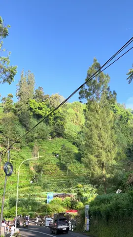 Gk afdol kedieng kalau gak pakek lagu ini🥹#fypシ゚ #fypage #fypage #dieng #diengwonosobo #diengplateau 