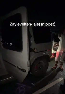 #ngunderground #zaylevelten #snippet #10ski 