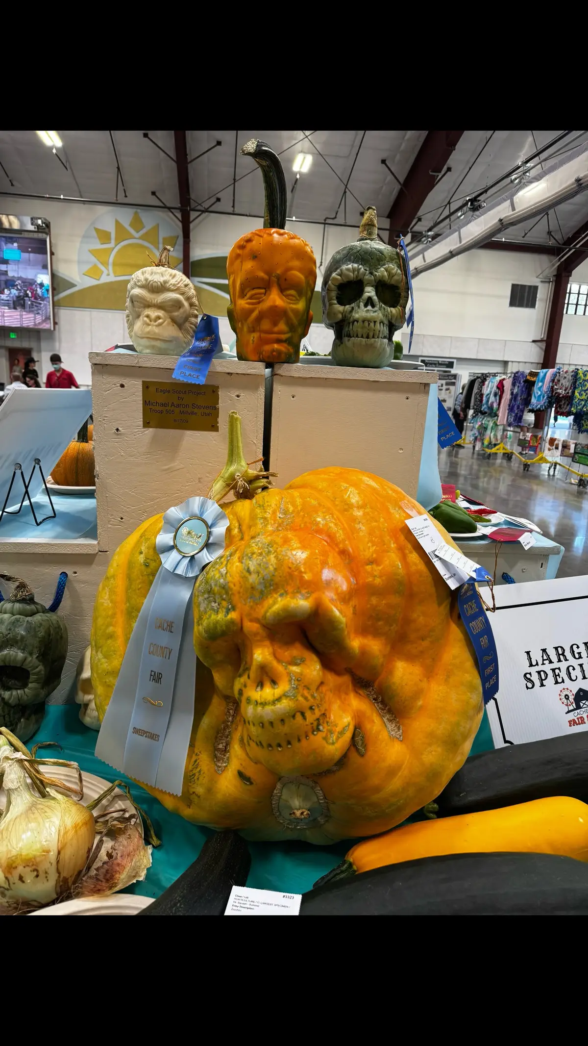 2025 Cache County Fair
