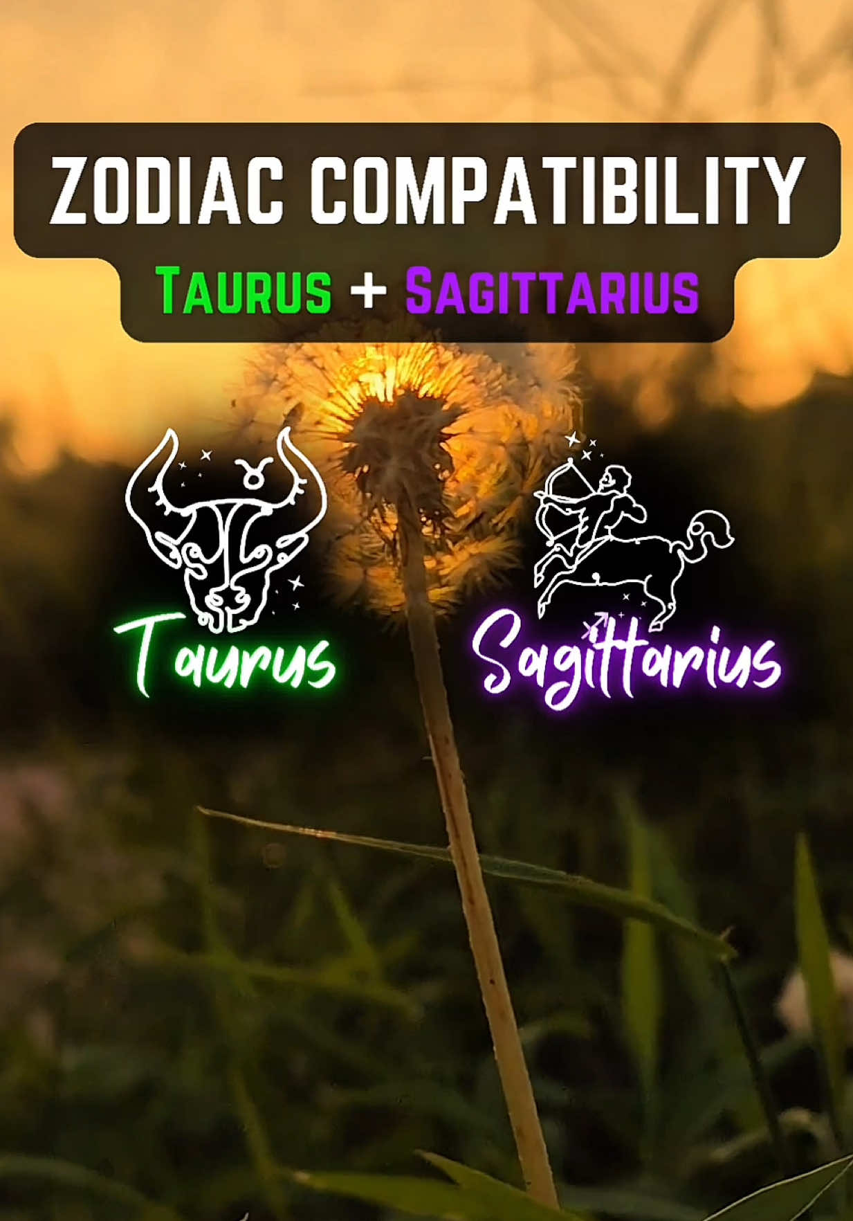 Sagittarius and Taurus in a relationship? One wants movement. The other wants stability. #sagittarius #taurus♉️ #sagittarius♐️ #taurus #compatibility 