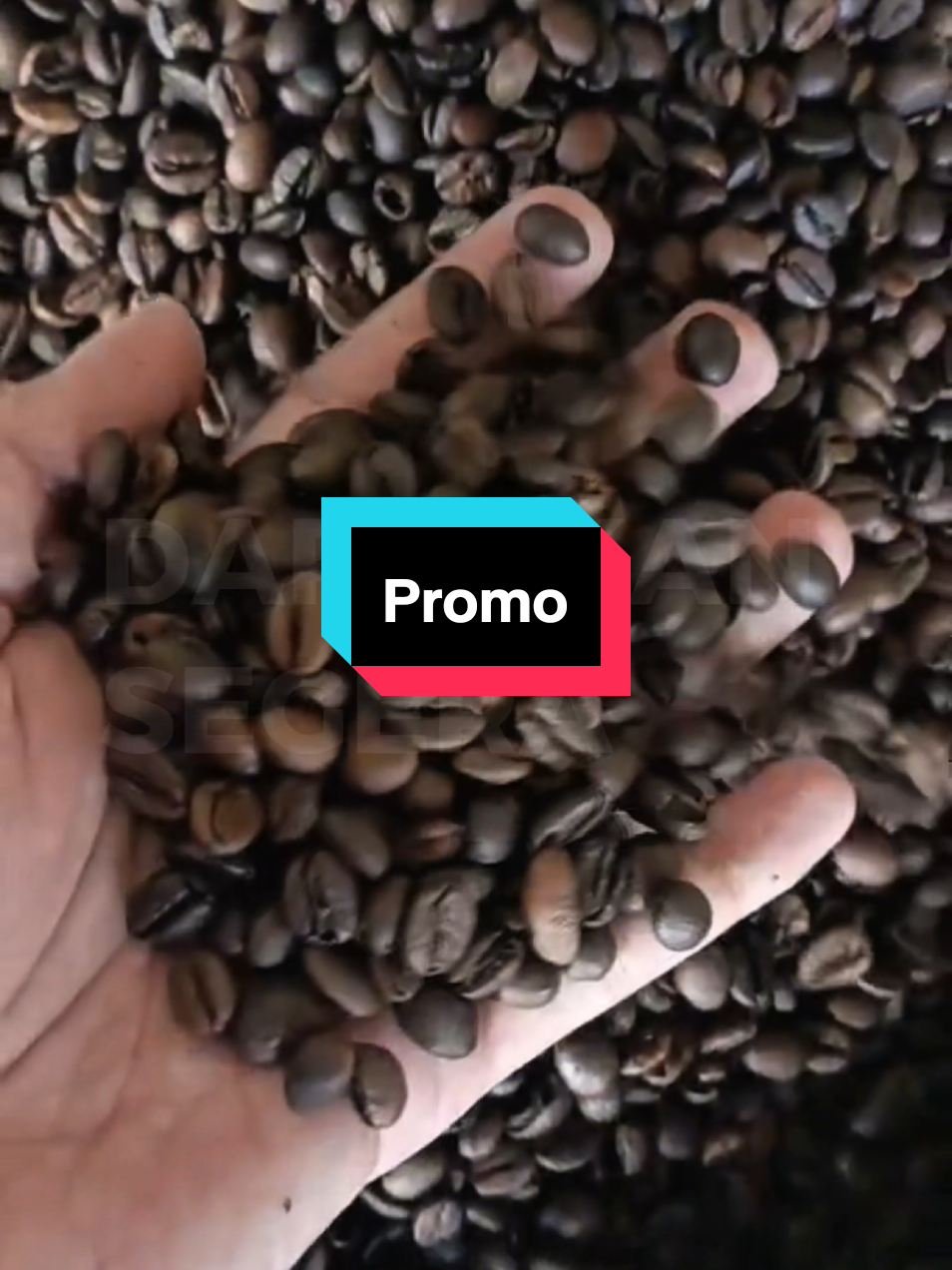 Kopi bubuk autentik rasa jujur aroma nikmat, dari kebun sendiri. siap kirim ke seluruh dunia 🌏#kopi #lampungviral #oleholehlampung #lampungbarat #kopilampung 