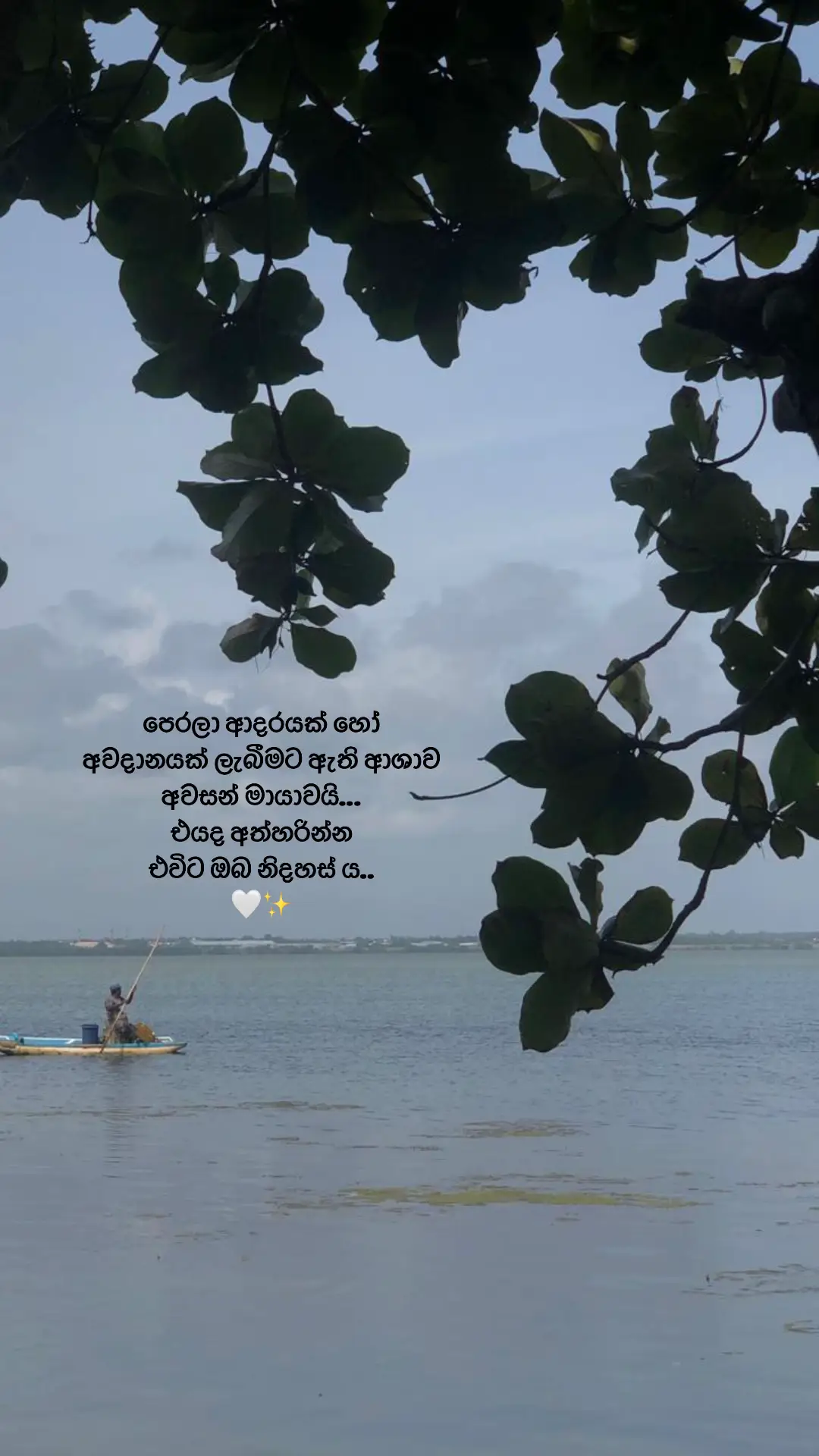 #viral #fyp #foryoupage #tiktokviral #fy #tiktok #tiktoksrilanka🇱🇰 