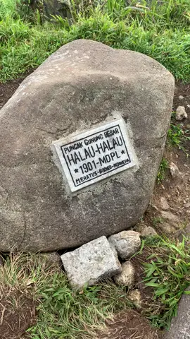 halau-halau sabtu 9 agustus🤩🤩 #mthalauhalau #gununghalauhalau #atapkalsel 