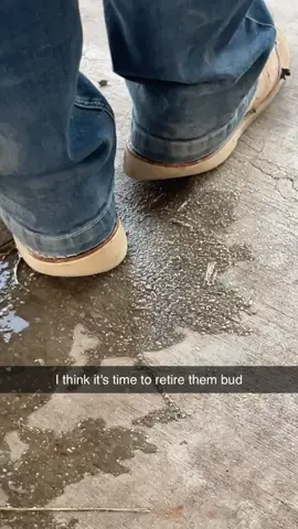 My poor baby, already have gone through 3 pairs. He walks crooked so they mold that way. 😂😂 #hardwork #workingman #bluecollar #manly #masculinity #builder #thorogoodboots #workboots #texas 