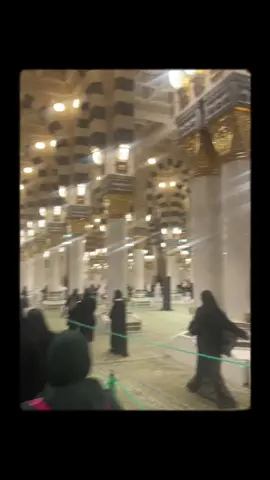 Riaz ul Jannah Part 2#CapCut#riazuljannah#jannah#jannat#masjidnabawi#medina#nabi#prophet#prophetmuhammad#muhammadsaw#muslim#allah#allah100k#mecca#kaabah🕋#masjidalharam#muslim#fyp#foryou#trend#viralvideo#pakistani#pakistani_tik_tok#usa🇺🇸#usatiktok🇺🇸 
