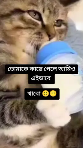 #Foryoupage 