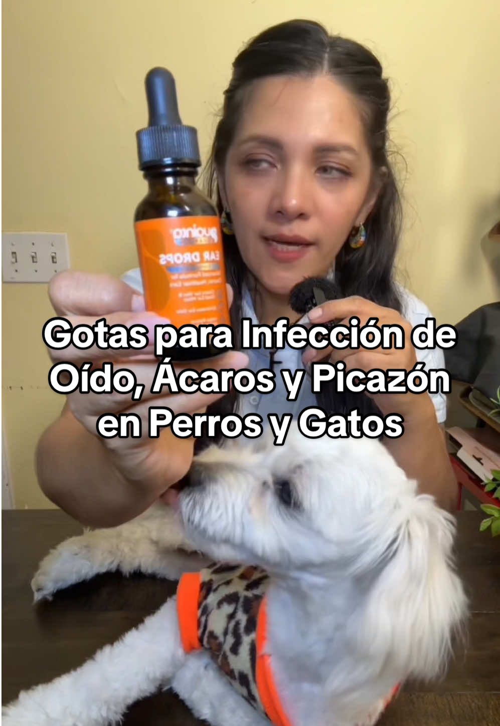 Gotas para Infección de Oído, Ácaros y Picazón en Perros y Gatos. #PuaintaEarCleaner #CuidadoOidosMascotas #DogEarInfection #CatEarTreatment