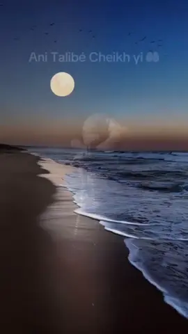 Yalla naniou yalla déf deug deug Talibé Cheikh 🤲❤️