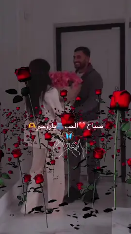 ❤️❤️❤️❤️❤️❤️❤️❤️🫂🫂🫂🫶🫶#❤️❤️❤️❤️❤️❤️❤️ #عباراتكم_الفخمه📿📌 #نبض_قلبي #👏🏻👏🏻🎼🎻💃 #tiktok  