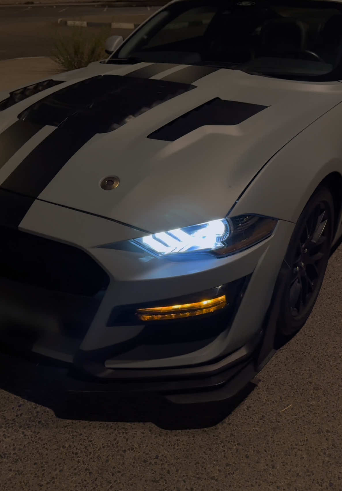 Let your dreams come true.                             #fyp #cars #mustang 
