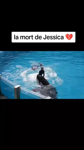 #viralvideos #justepourtoi 