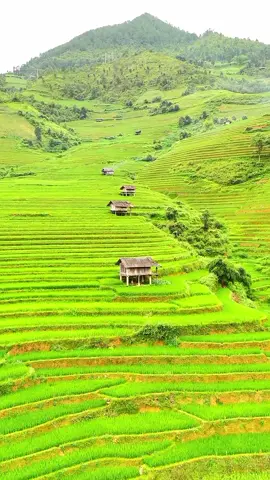 mời Các bạn Nghe nhạc và ngắm cảnh nhé 