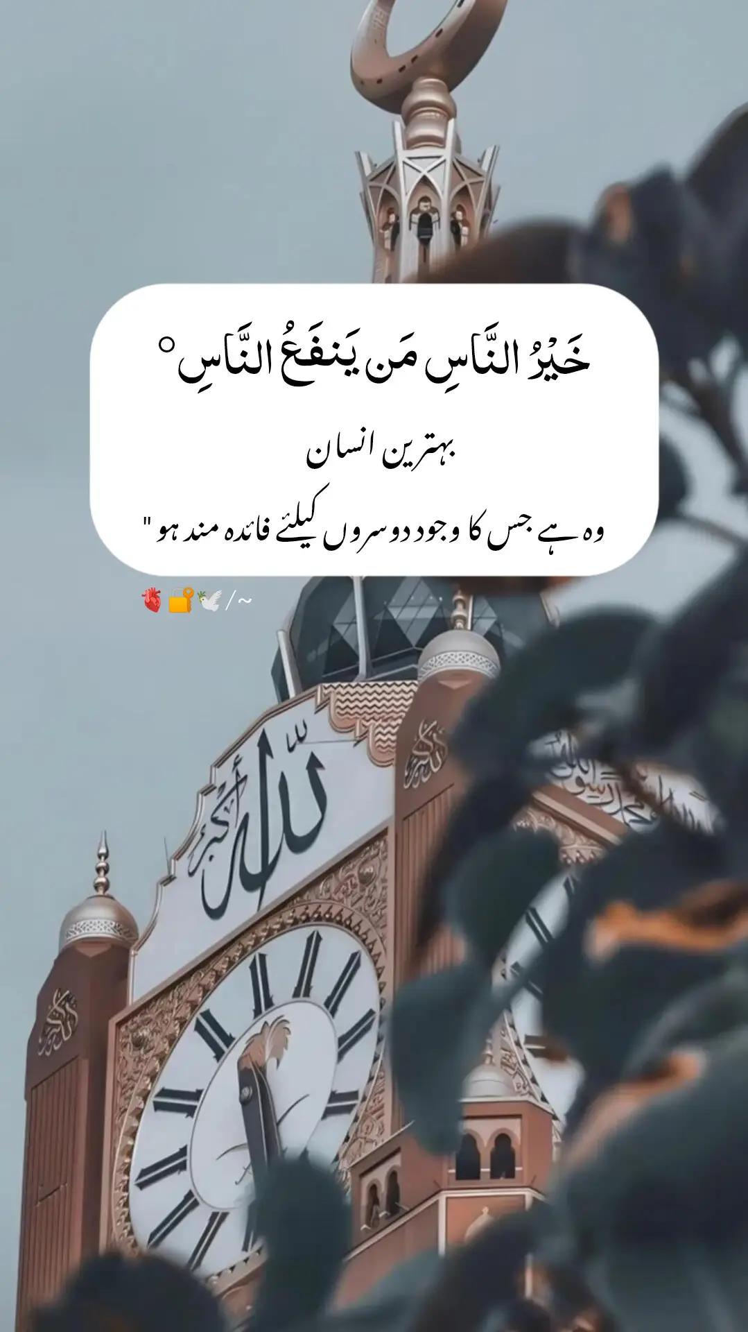 #islamic videos #foryoupage #unfreeezmyaccont 