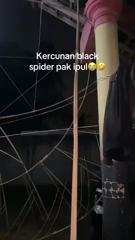 Tulung pak@Pak Ipul , seminggu ngrakitt ra dadi2🤣😭#banyuwangihits #fypcokkkkkkkkkkkkkkkkkkkkkkkkkkkkkkk #banyuwangi24jam #ramramanbanyuwangi #pelayangbanyuwangi #foryoupage #fyp 