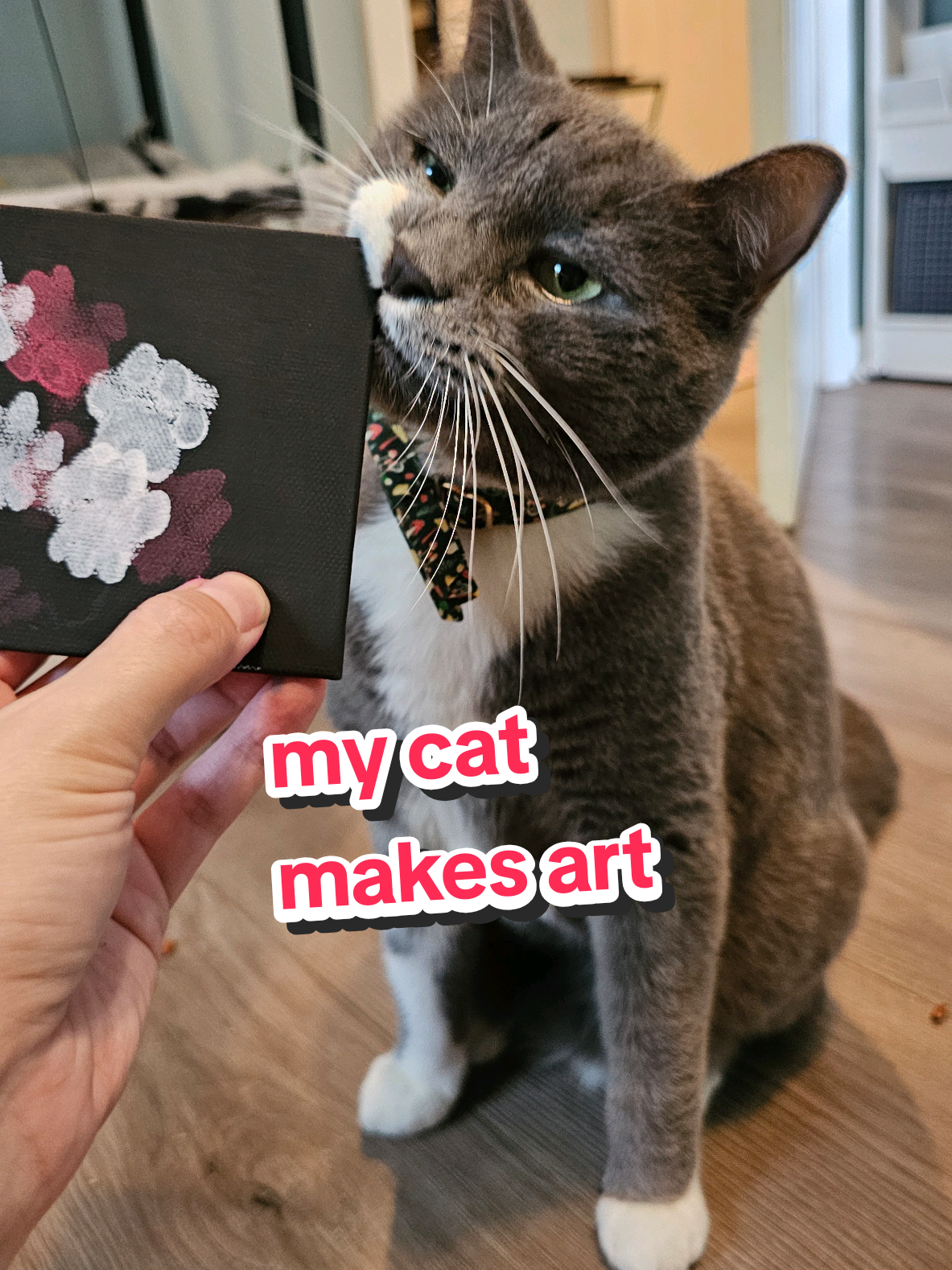 This was a lot of fun trying to figure out! I'm sure other people have done this in the past. if you want to do this, you need a frame of some sort, plastic wrap, tape, canvas/paper, and paint (any kind should be ok!)