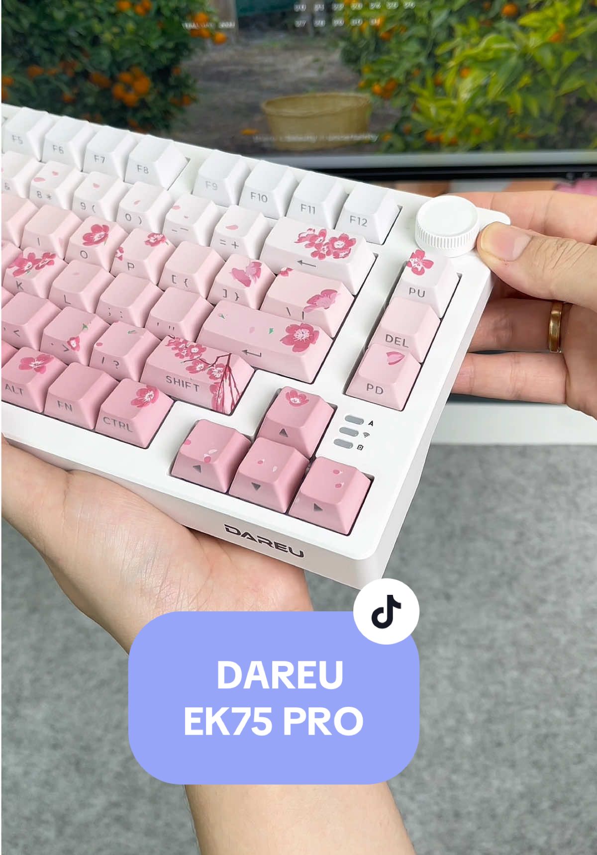 Bàn phím cơ DAREU EK75 PRO Sakura Pink RGB 🫶🫶🫶#cozy #setup #unboxing #desksetup #cute #cozyvibes #nghiendecor #trangtribanhoc #cozydesksetup #banphimco #dareu 
