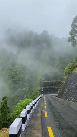 Sindhuli Highway After Rain #travelnepal #nature #rain #tiktoknepal #naturevibes #foggyweather 
