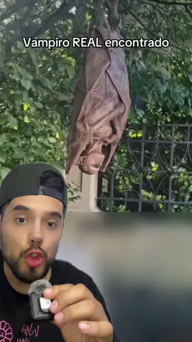 Vampiro REAL encontrado #paranormal #paranormalactivity #actividadparanormal #fantasmas #ovnis #miedo #miedoyterror #paranormaltiktok #terrorsobrenatural #greenscreenvideo 