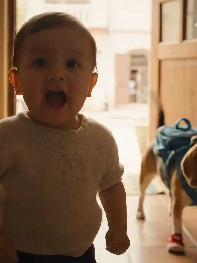 Bebé decide irse de su casa  #ia #ai #veo3 #humor #bebe #cutebaby #cometierra #perrochacarrón #comedia #bebes