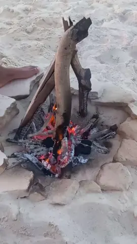 #قران كريم🤲🫀
