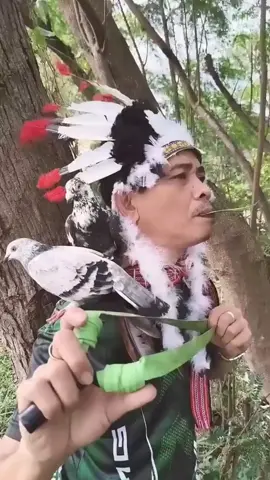 Mastran burung lucu #creatorsearchinsights #promomakanmerdeka #TikTokAwardsID #funnyvideos #viraltiktok #viralvideos 