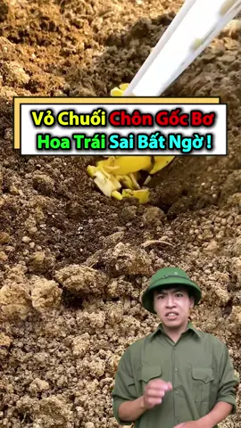 Làm cách này cây Bơ ra Sai Trái bất ngờ đó nha. Bà con ơi #nôngnghiệp #nôngdân #nôngnghiệpthôngminh #bơ #câybơ 