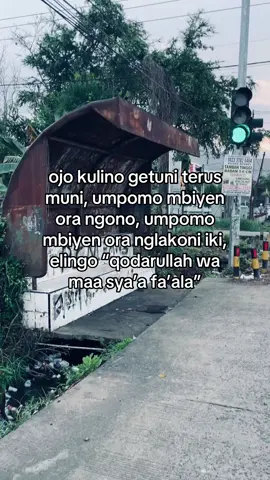 #foryoupage #jowostory #jowokuciwoo #blitar24jam 